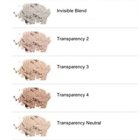 Clinique Blended Face Powder Brush 4 transparency