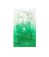 AXIS-Y 61% Mugwort Green Vital Energy Complex Sheet Mask witalizująca maska do twarzy w płachcie