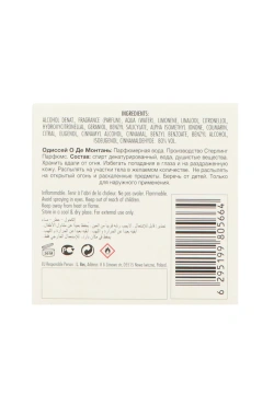 Armaf Odyssey Eau de Montagne EDP 100ml