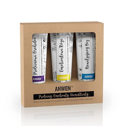 Anwen Odżywki do włosów o wysokiej porowatości zestaw Proteinowa Orchidea 100ml + Emolientowa Róża 100ml + Nawilżający Bez 100ml
