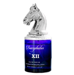 Armaf Bucephalus No. XII woda perfumowana spray 100ml
