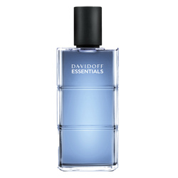 Davidoff Essentials Blue woda toaletowa spray 110ml