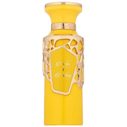 Fragrance World Nectar of Ecstacy woda perfumowana spray 100ml