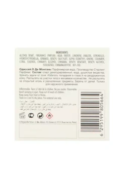 Armaf Odyssey Eau de Montagne EDP 100ml