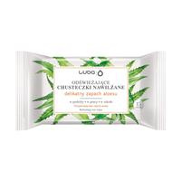 Odświeżające chusteczki nawilżane Aloes 15szt