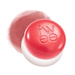 Fwee Lip&Cheek Blurry Pudding Pot pudding do ust i policzków CR04 Seventeen 5g