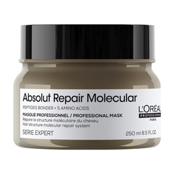 L'Oreal Professionnel Serie Expert Absolut Repair Molecular maska wypełniająca strukturę molekularną włosów 250ml