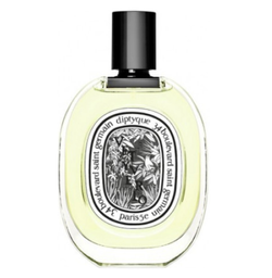 Diptyque Vetyverio woda toaletowa spray 100ml