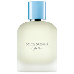 Dolce & Gabbana Light Blue Pour Homme woda toaletowa spray 100ml
