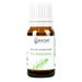 Natur Planet Olejek eteryczny rozmarynowy 10ml