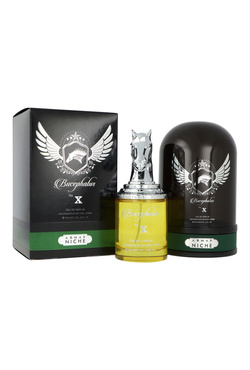 Armaf Bucephalus No. X woda perfumowana spray 100ml