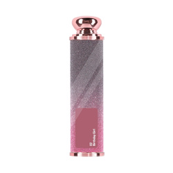 Wibo Cashmelt Glossy Lipstick pomadka do ust w sztyfcie 02 Birthday Girl 3g