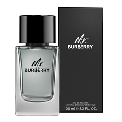 Burberry Mr. Burberry woda toaletowa spray 100ml
