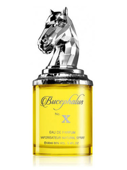 Armaf Bucephalus No. X woda perfumowana spray 100ml