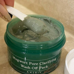 AXIS-Y Mugwort Pore Clarifying Wash Off Pack oczyszczająca maska do twarzy z bylicą 100ml