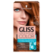 Gliss Color krem koloryzujący do włosów 7-7 Ciemny Miedziany Blond