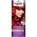 Intensive Color Creme farba do włosów w kremie RV6 Scarlet Red